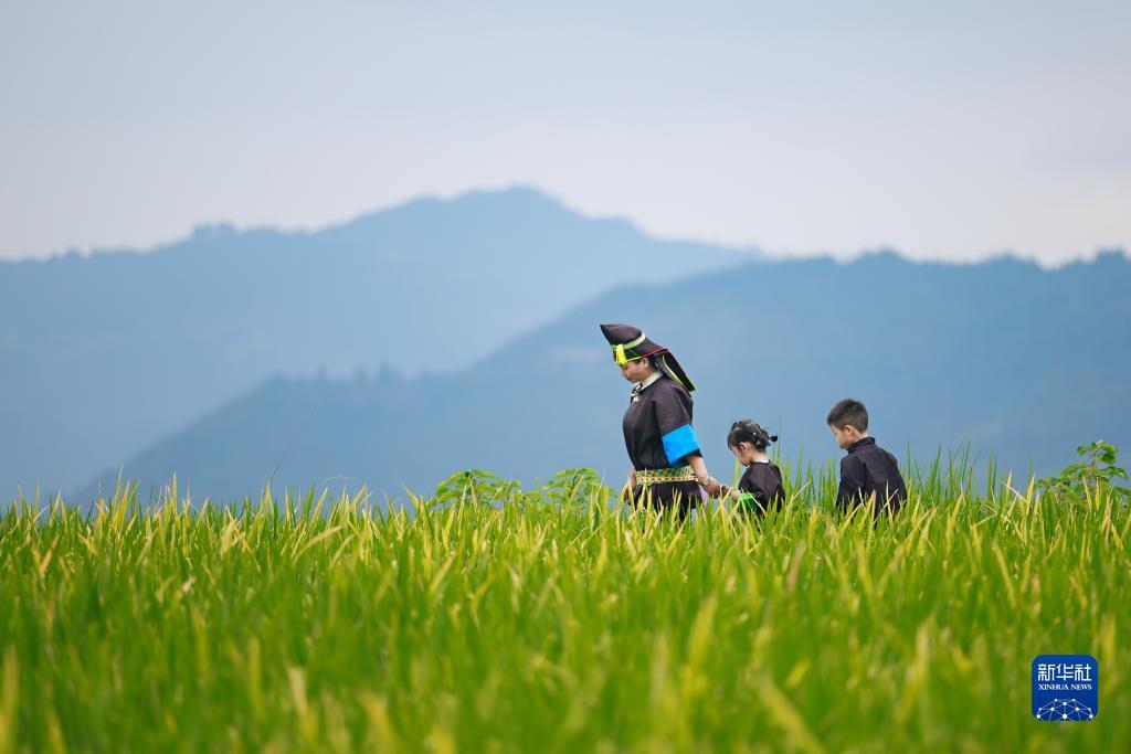 牛牛游戏正版下载